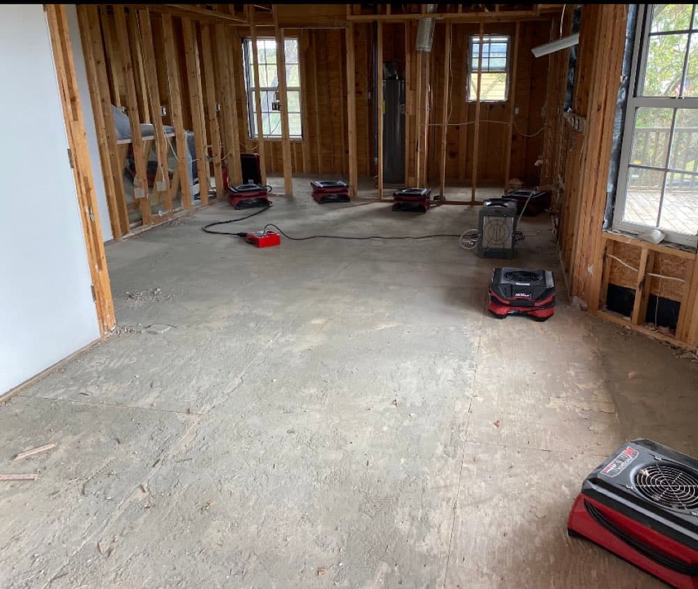 Basement taken to studs with air movers running